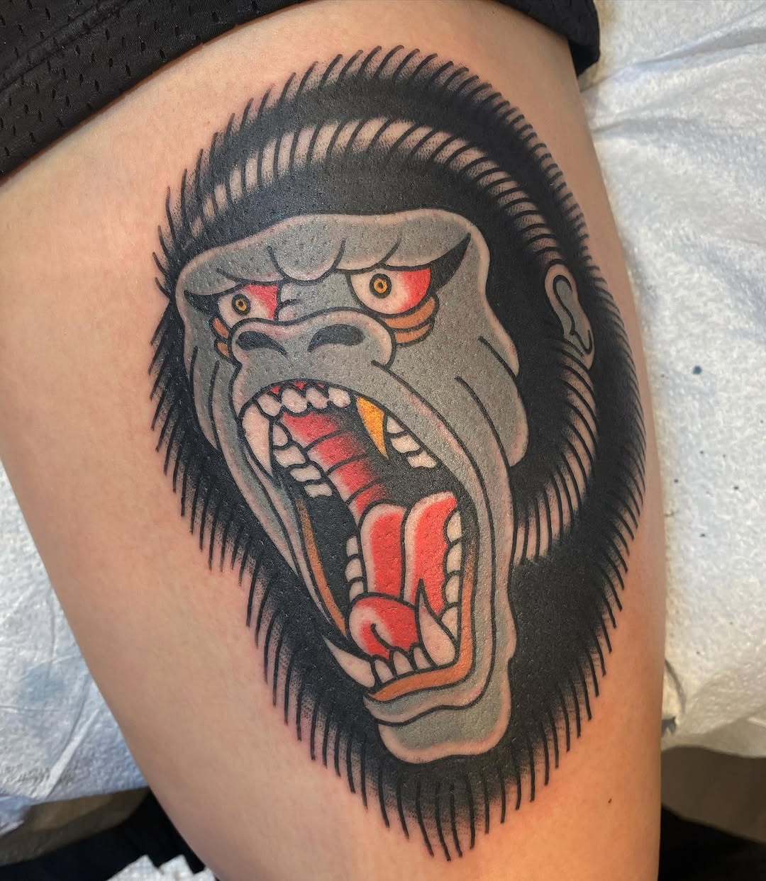 Tiger, Animal