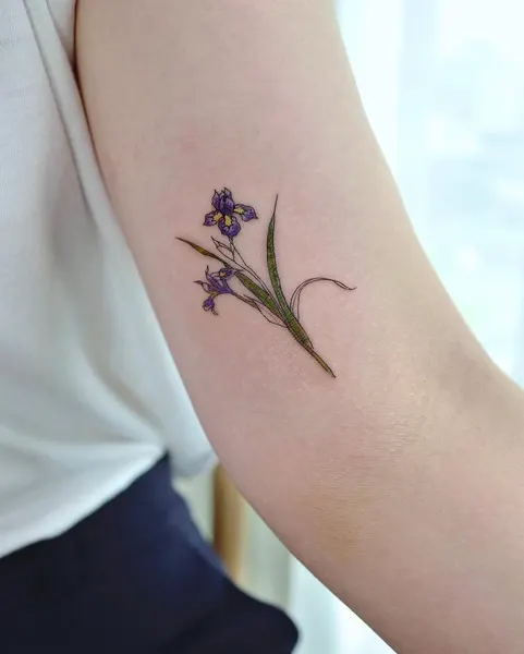 Flower, 난초, 아이리스