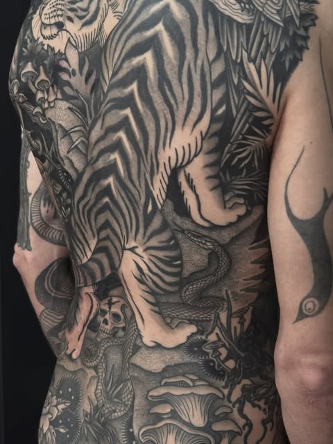 Tiger