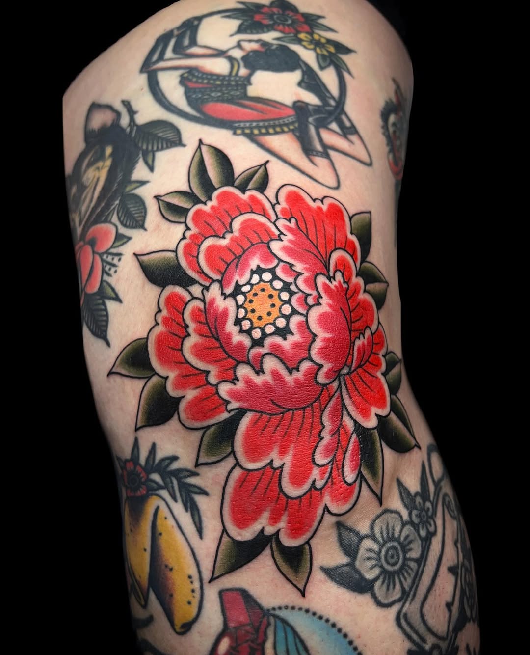 Flower, Rose