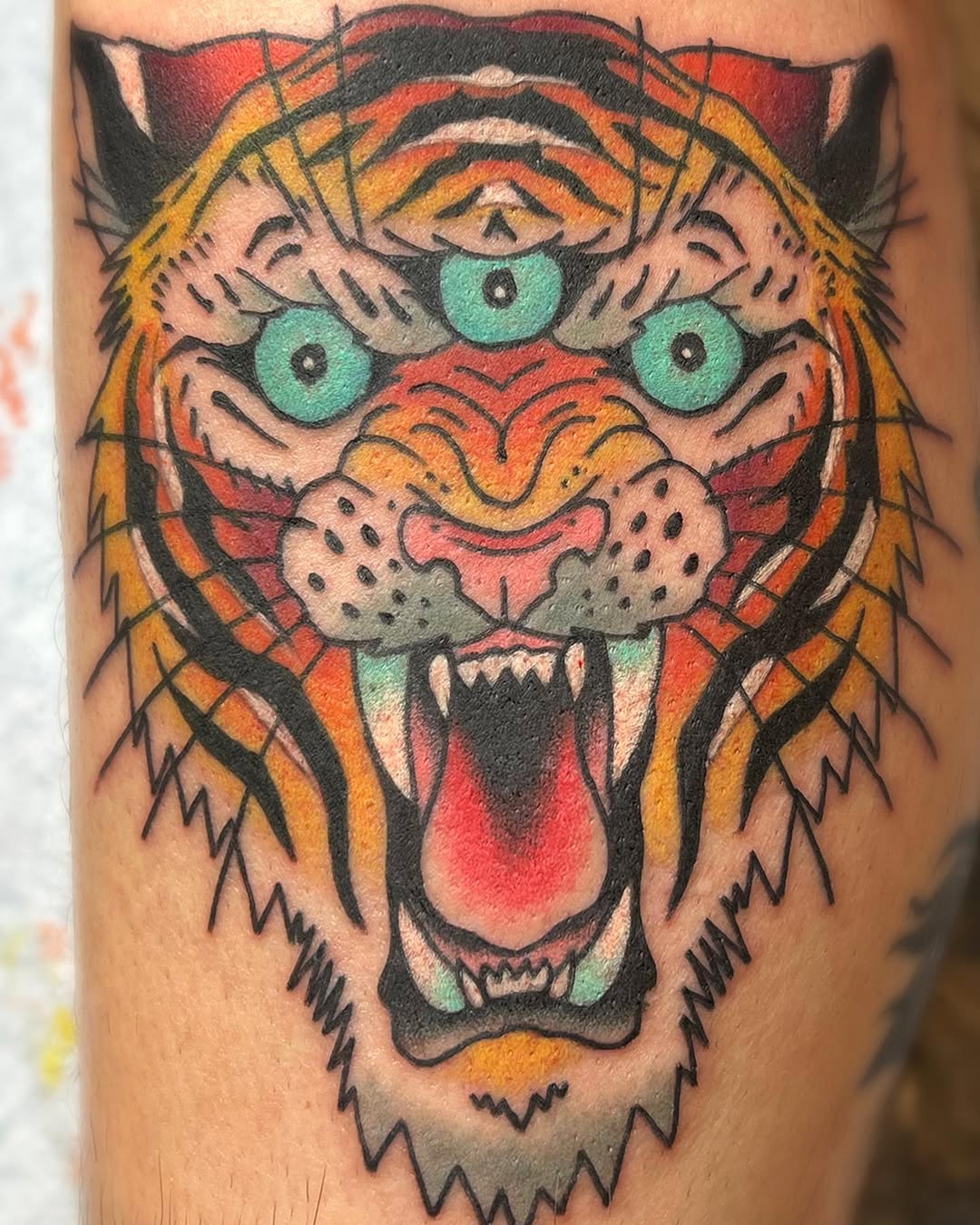 Tiger