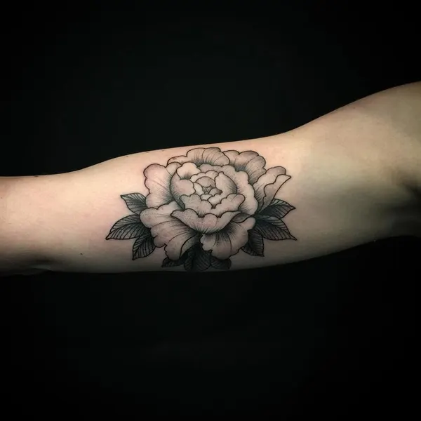 Flower, Rose
