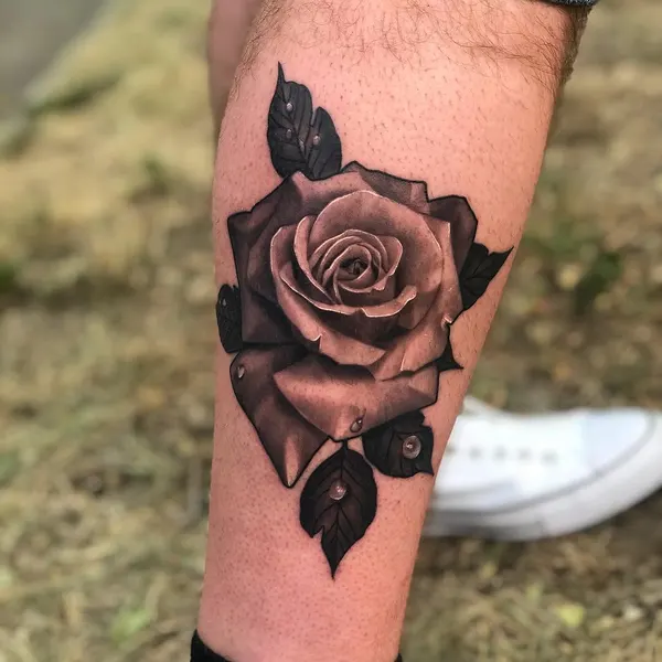 Flower, Rose