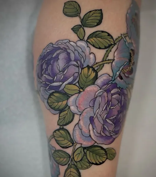 Flower, Rose