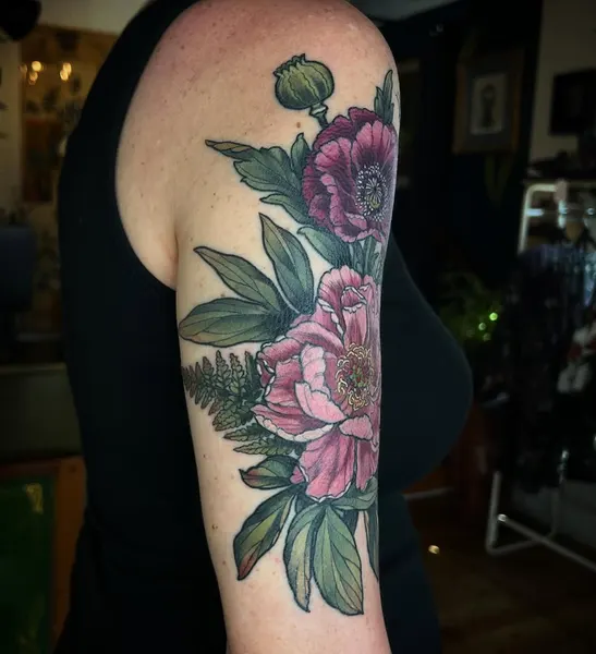 Flower, Rose, Nature