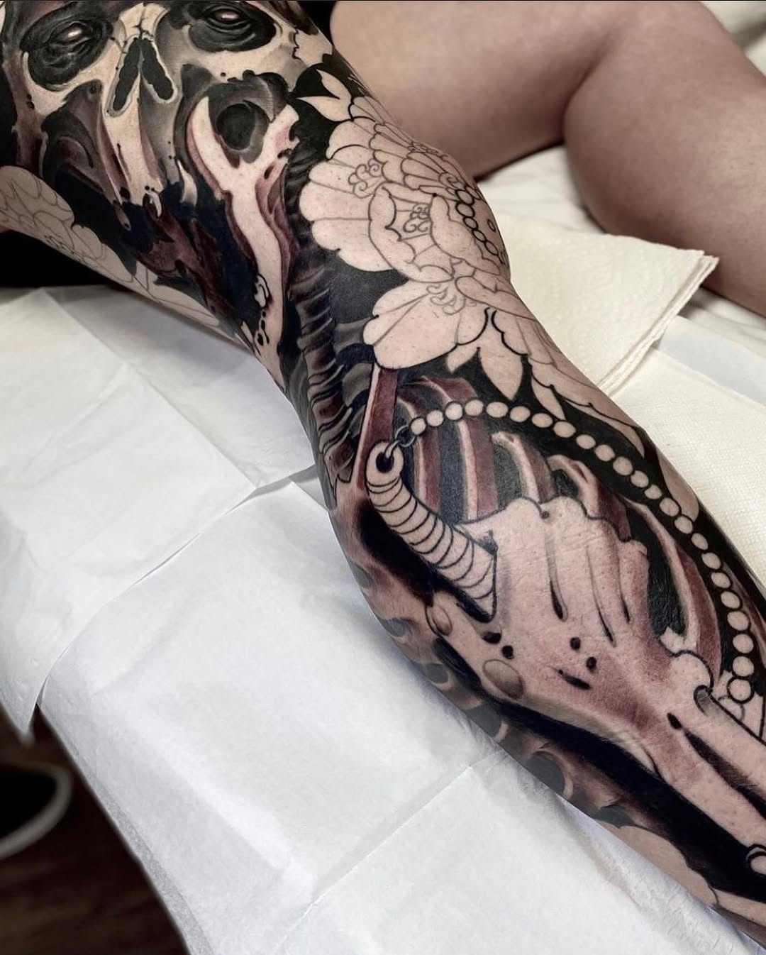 Dragon, Animal