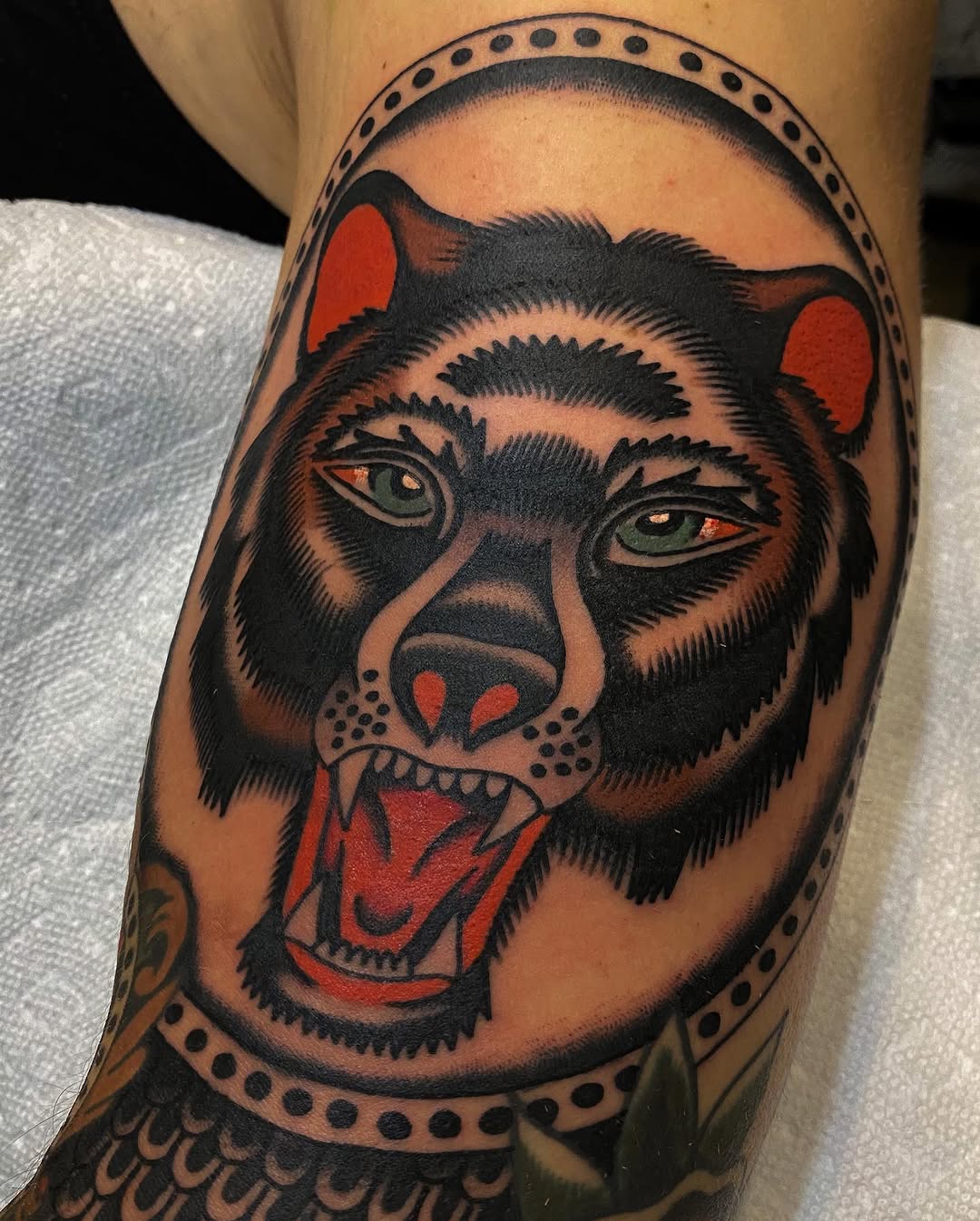Tiger, Animal