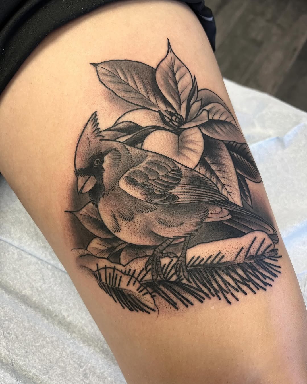 Flower, Animal, Nature