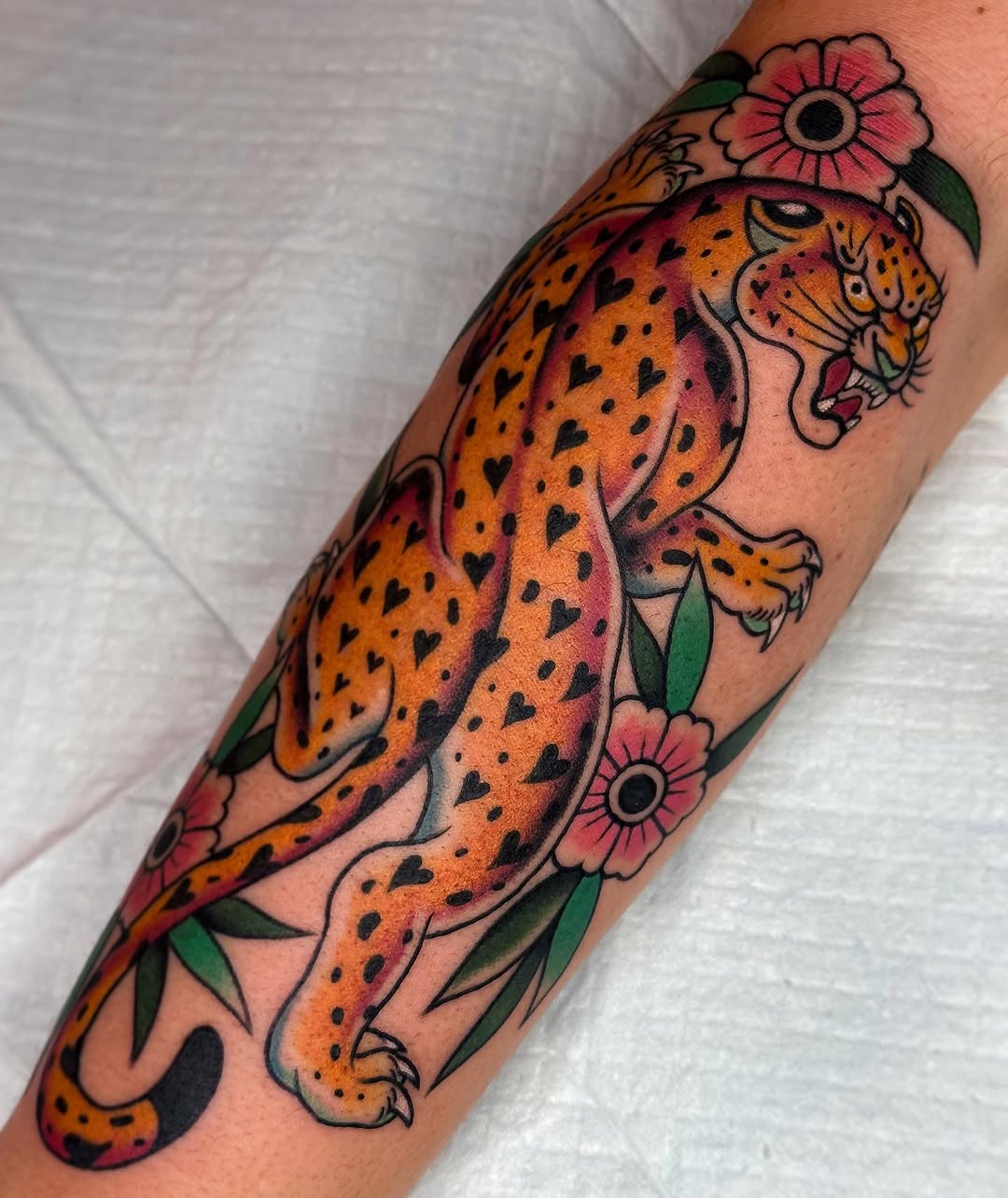 Tiger, Animal, 표범