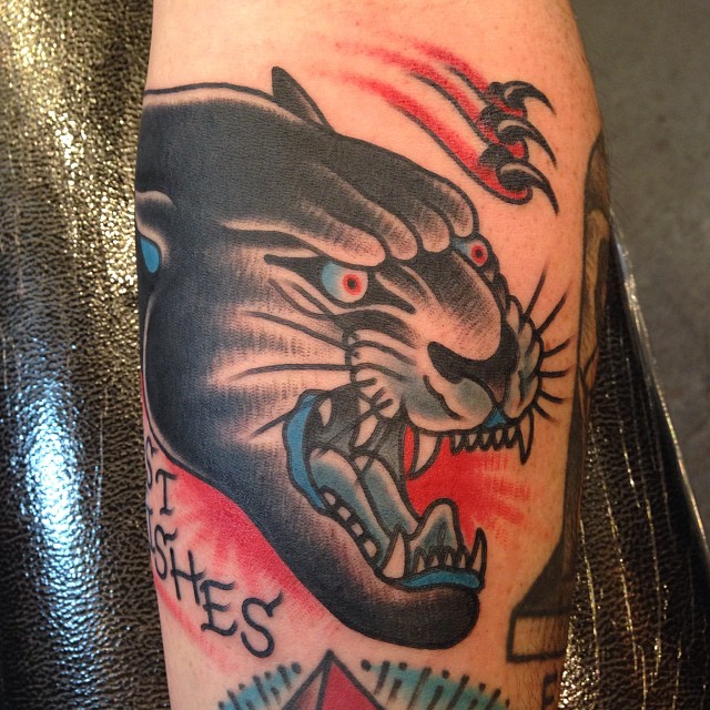 Animal, Tiger