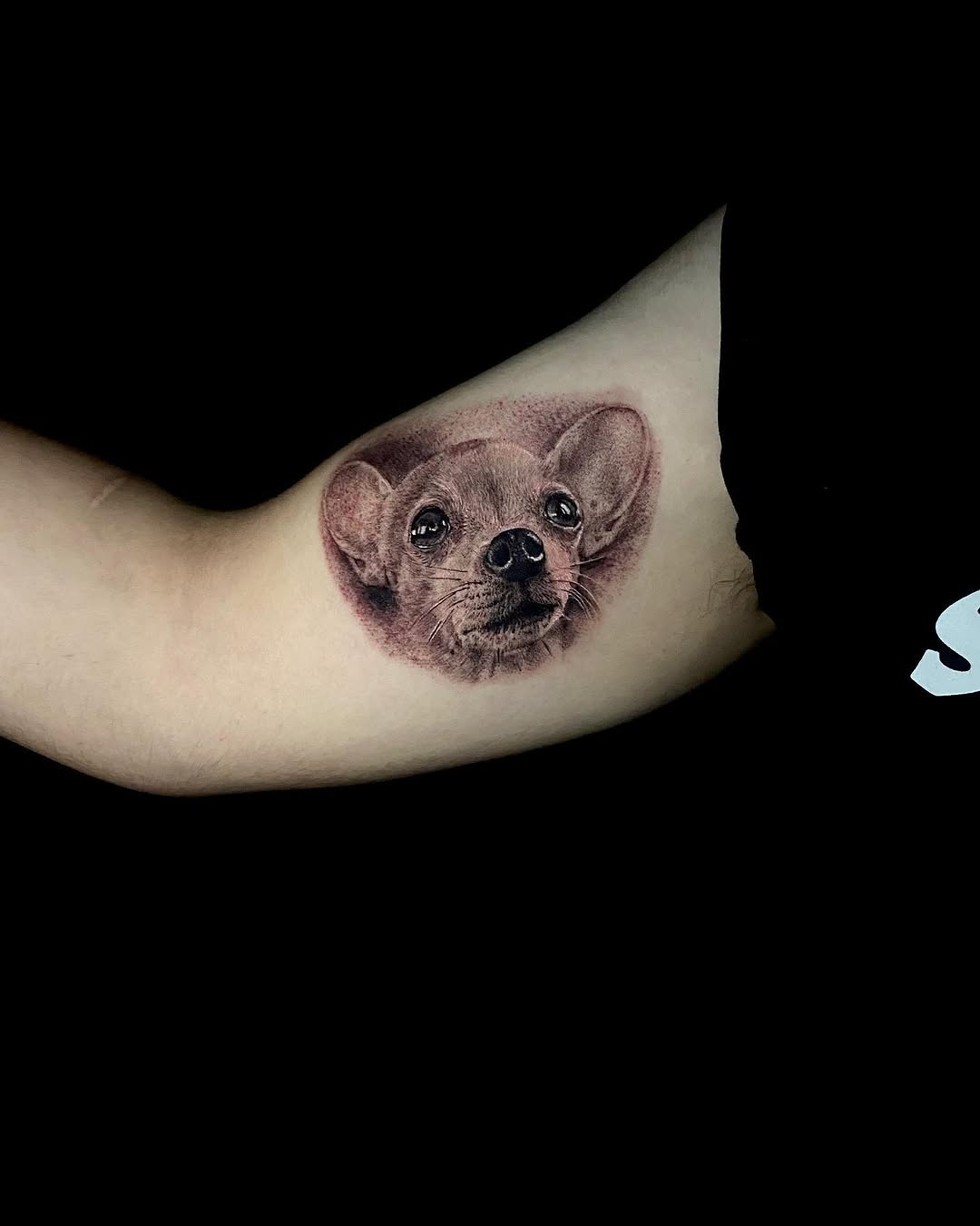 tattooist_bk