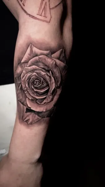 Rose, Flower