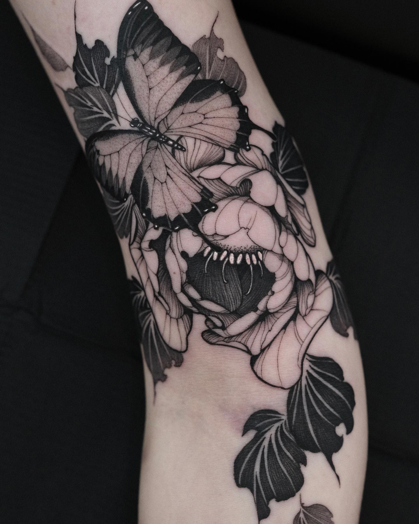 Animal, Nature, Flower