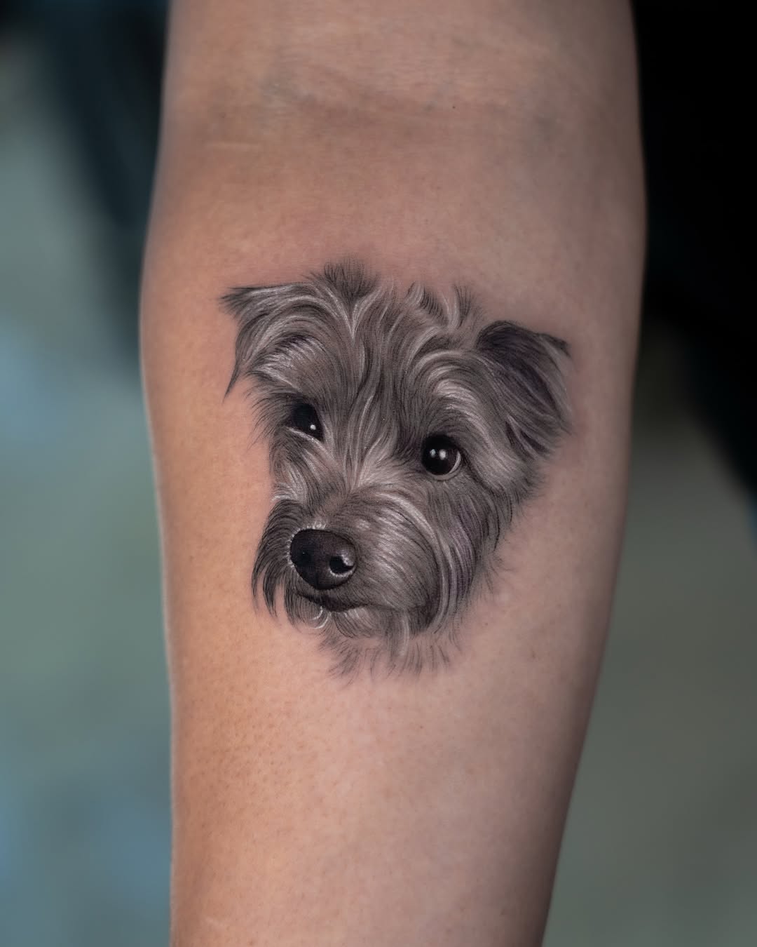 lewis.tattoo