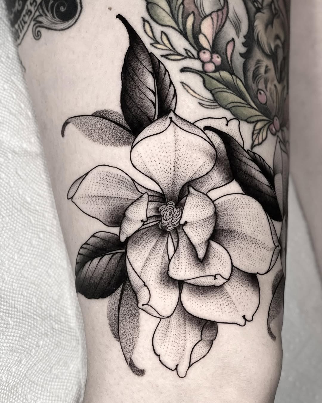 Rose, Flower