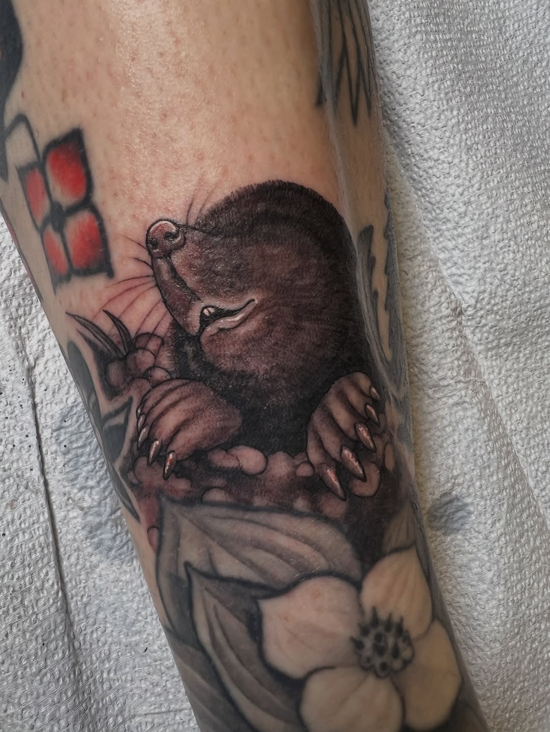 shawn_hebrank