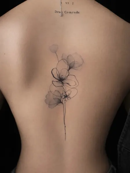 Rose, Flower, Nature