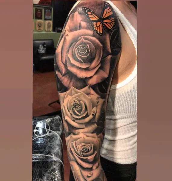 Flower, Nature, Animal, Rose