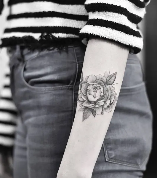 Flower, Rose