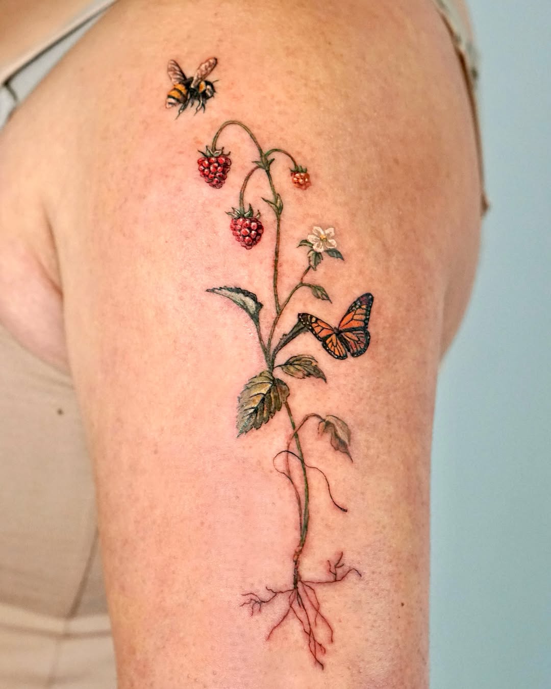 Flower, Rose