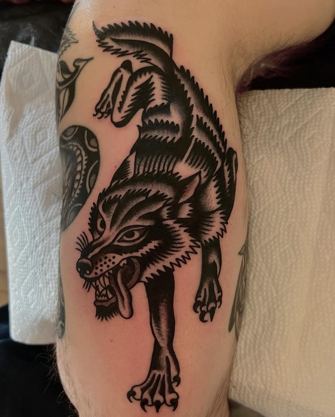 Tiger, Animal