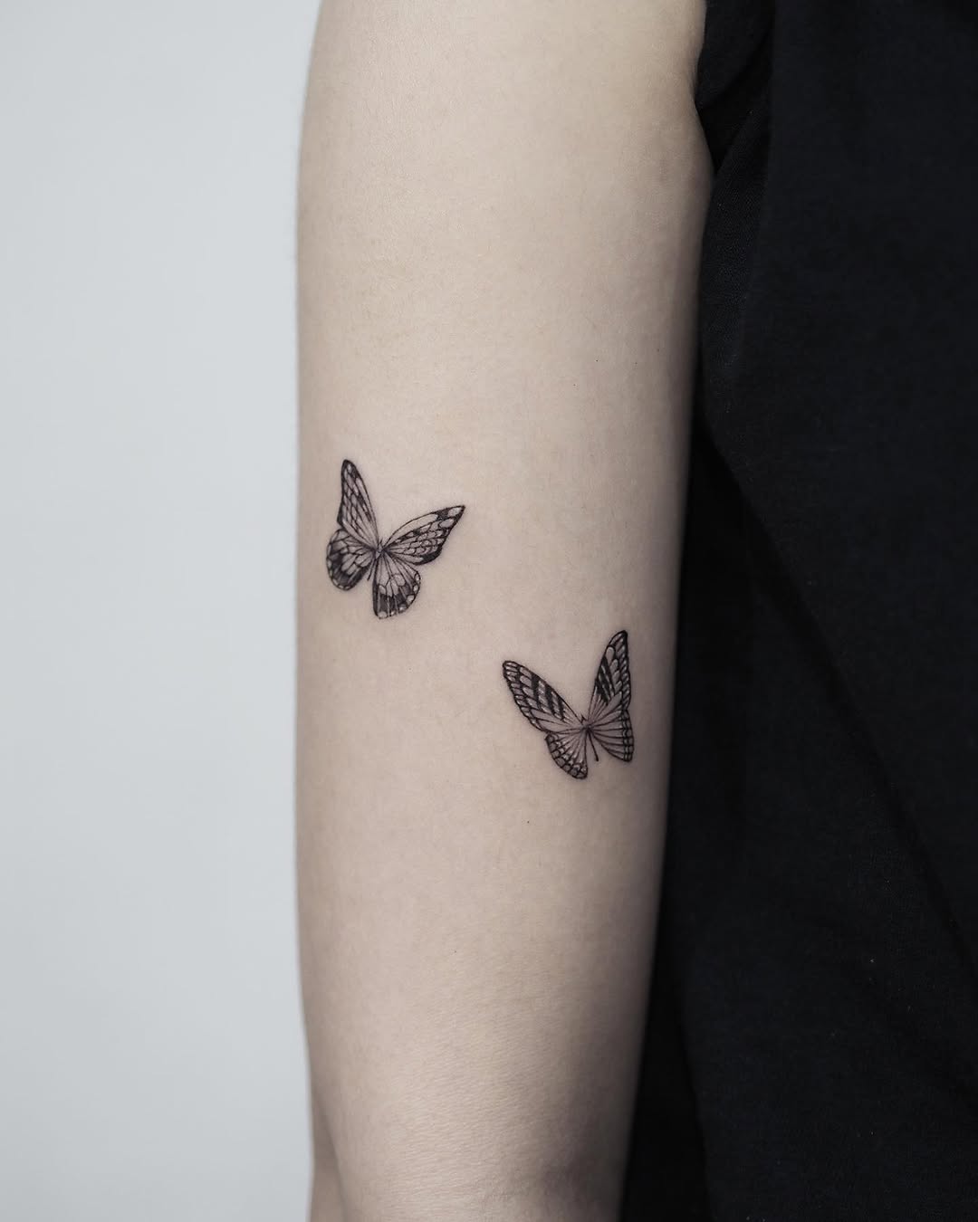 Nature, Animal