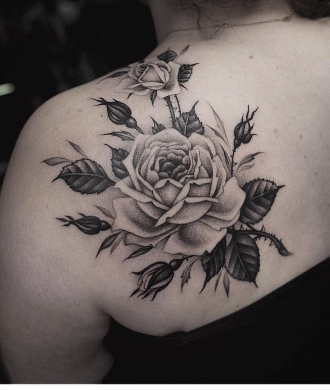 Flower, Nature, Rose