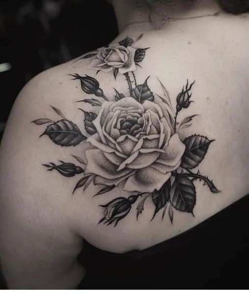 Rose, Flower, Nature