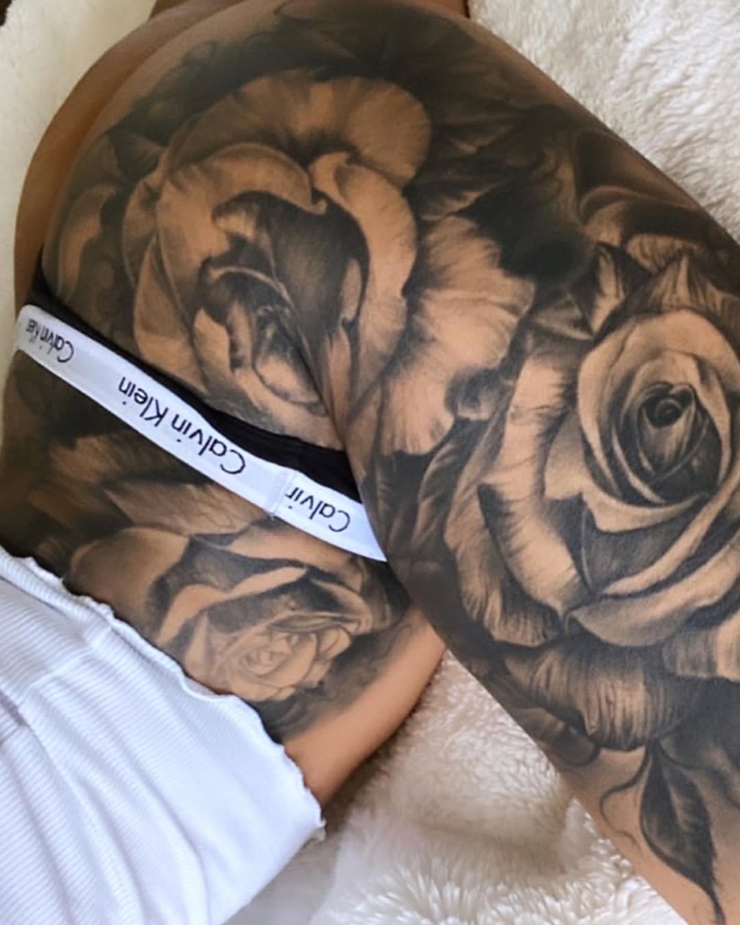 Flower, Rose, Nature