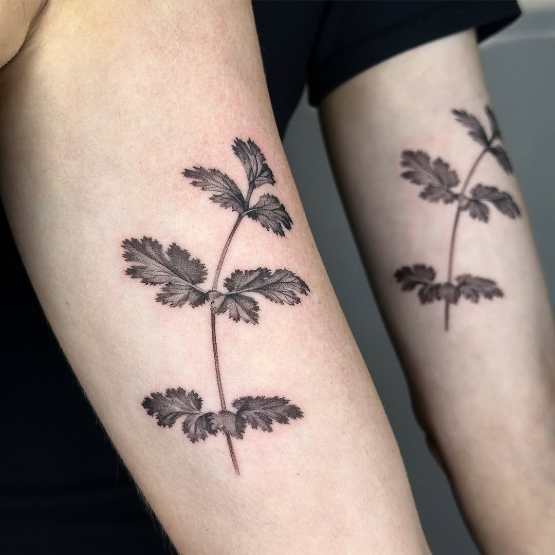plantsnpokes