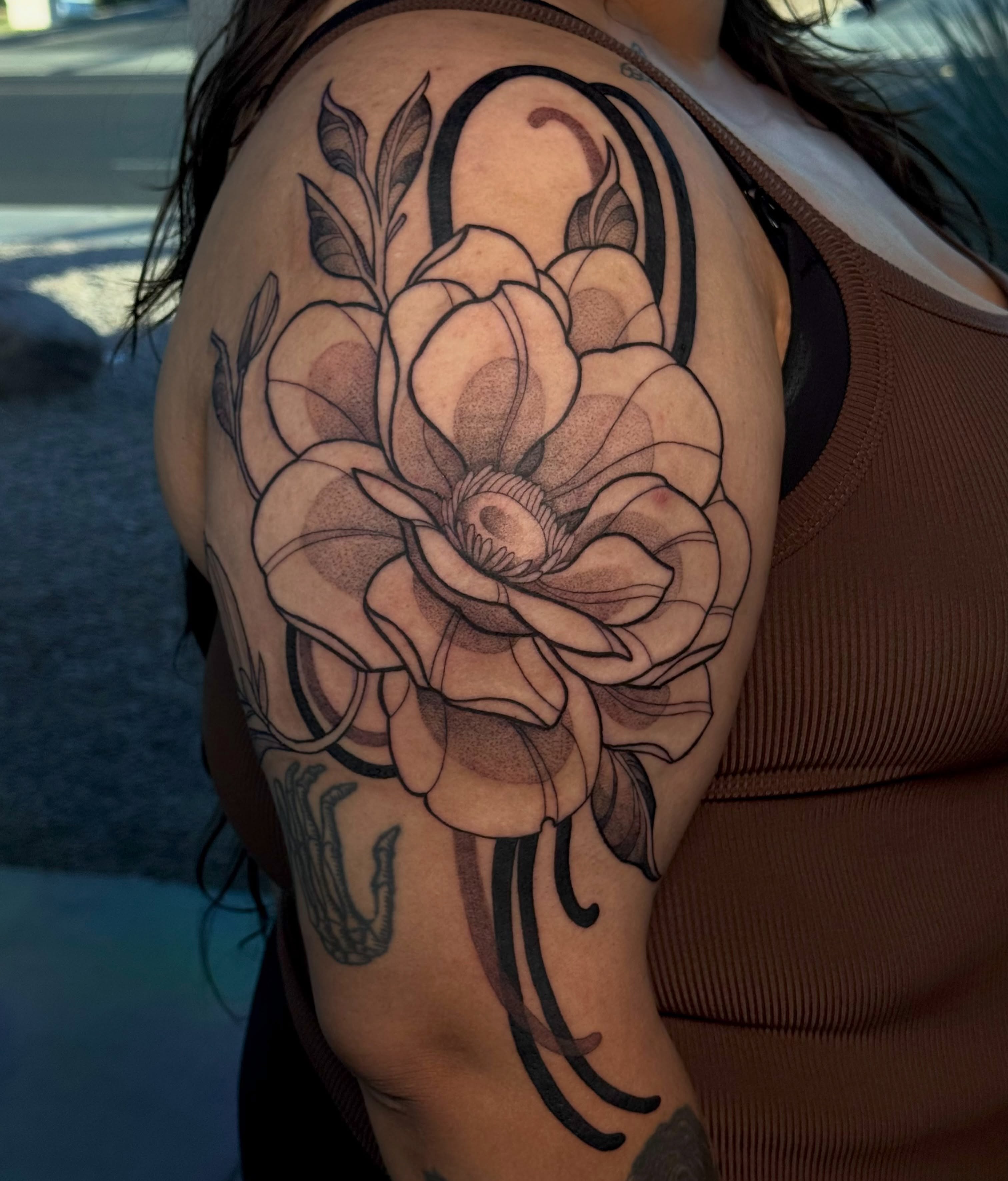 Flower, Rose, Nature