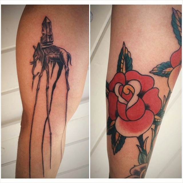 Flower, Rose