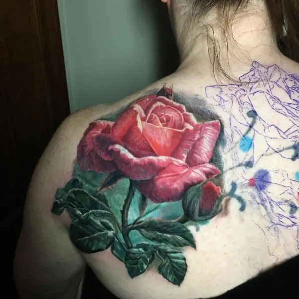 Rose, Nature, Flower
