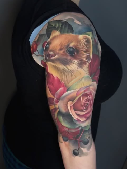 Animal, 곰