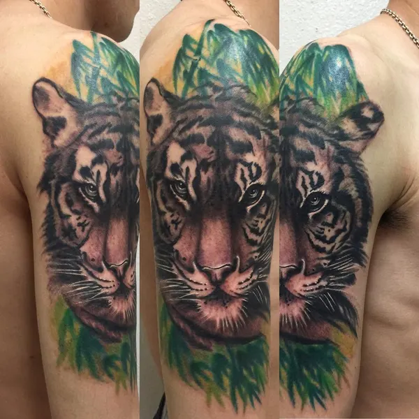 Tiger