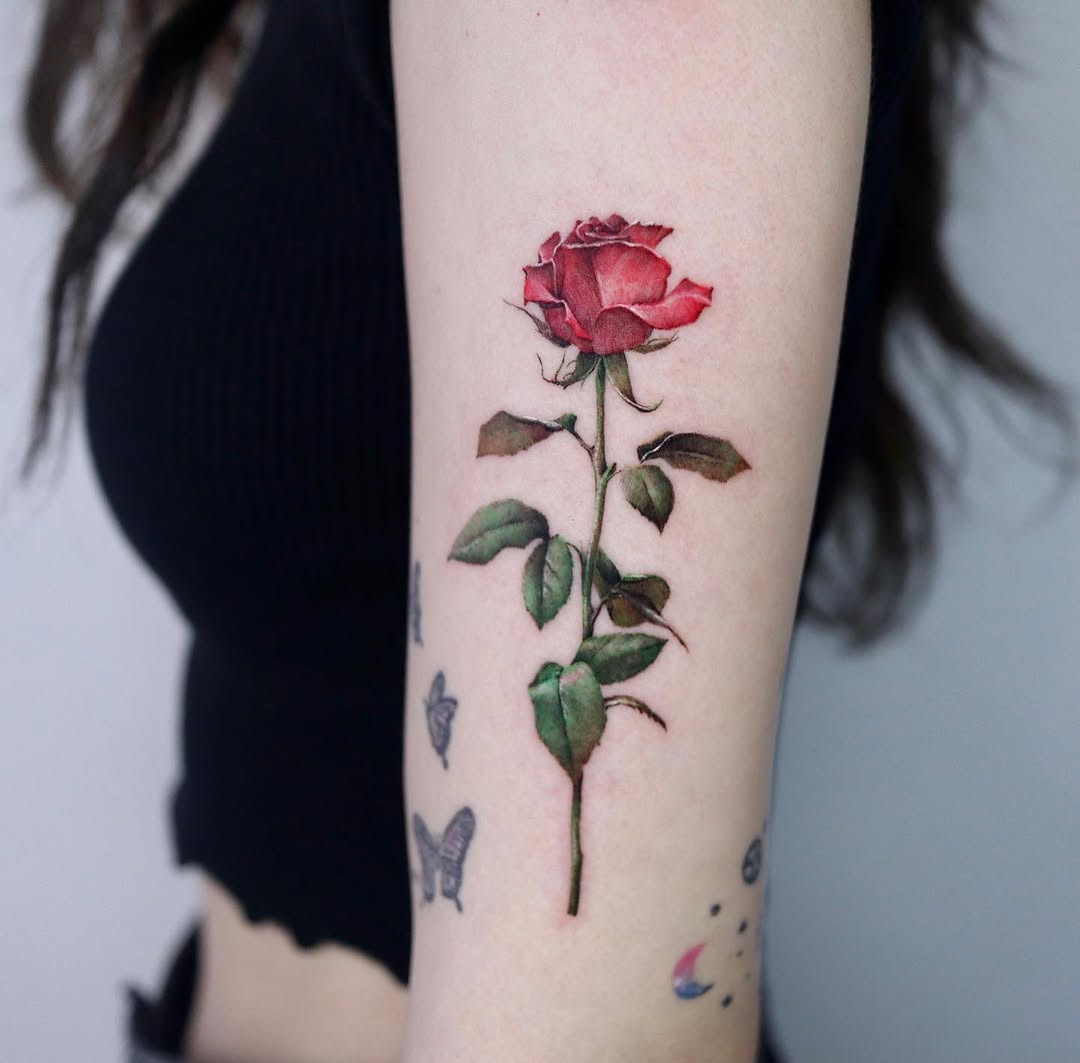 Flower, Rose, Nature