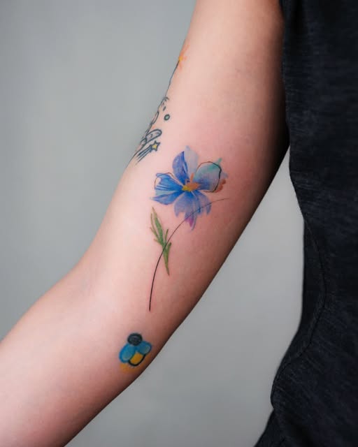 Flower, Rose