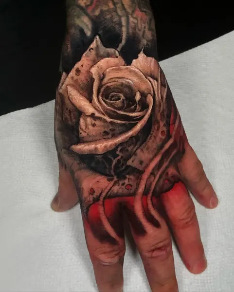 Flower, Rose