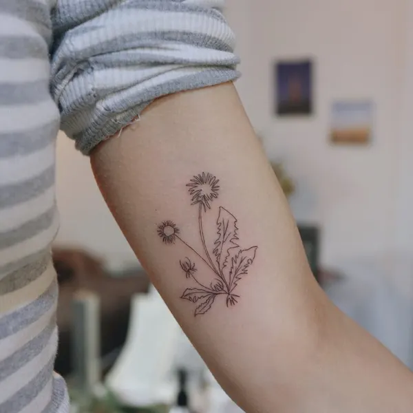 Flower, Rose