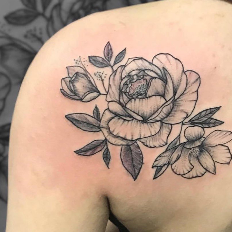 Flower, Rose, Nature