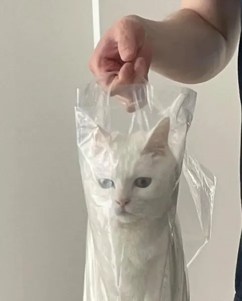 Milo._.club