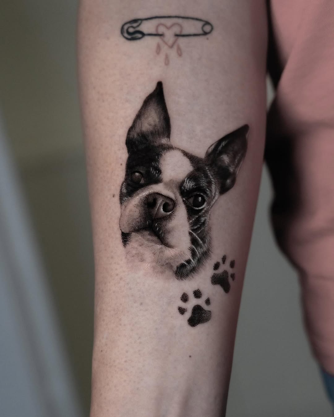 Animal