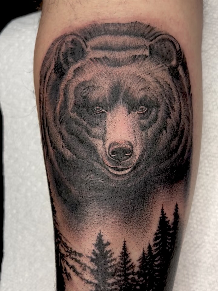 Animal