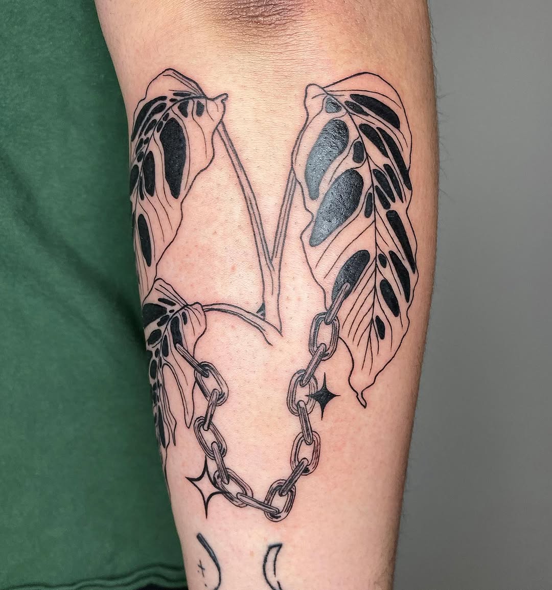 plantsnpokes