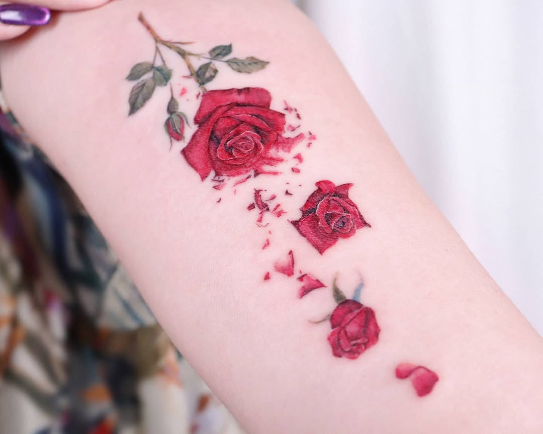 Flower, Rose