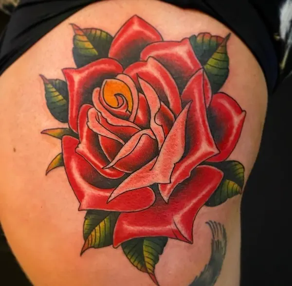Flower, Rose, Nature