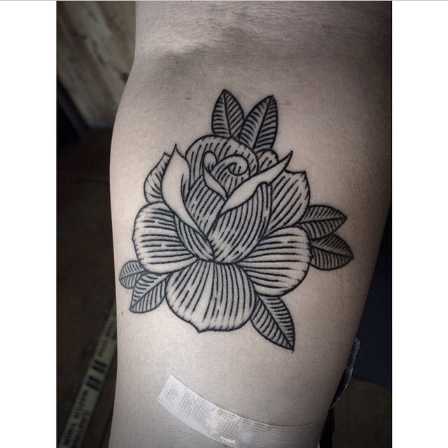 Flower, Rose