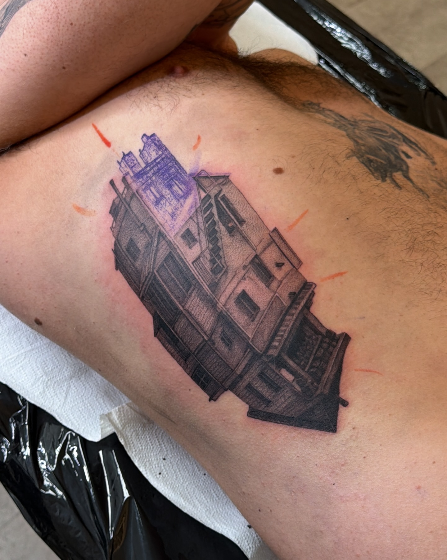 pelleossa_ink