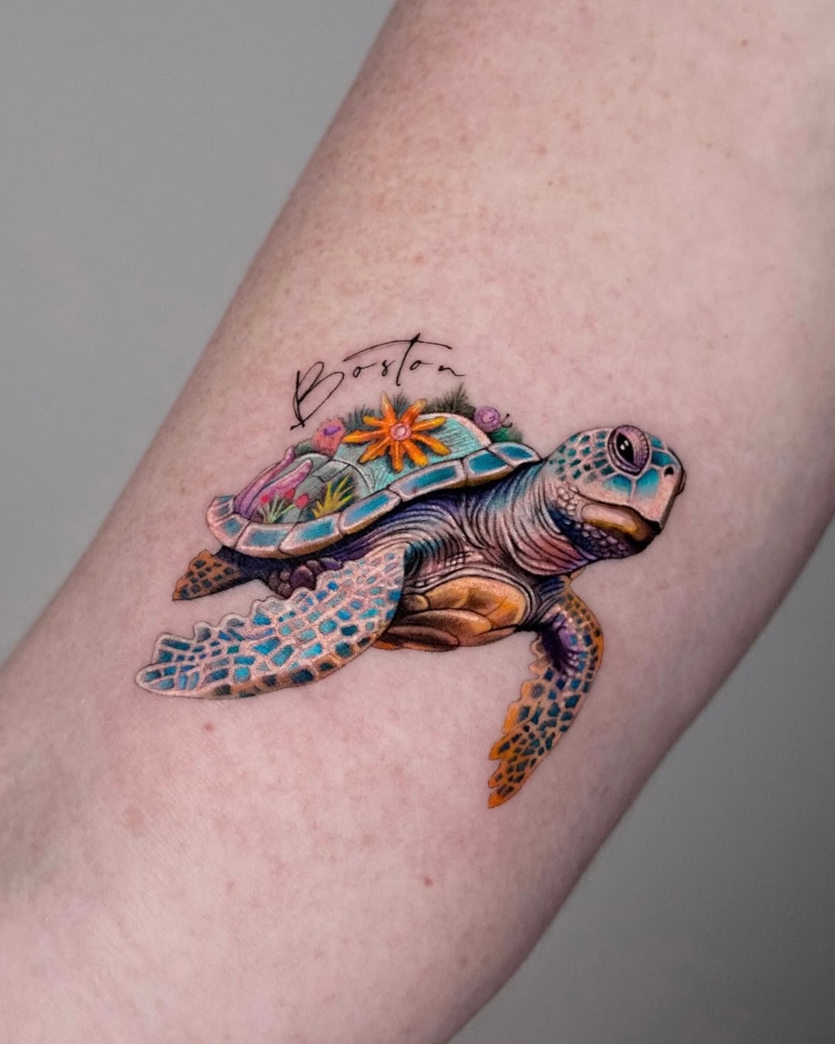 Animal, Nature, 앵무새