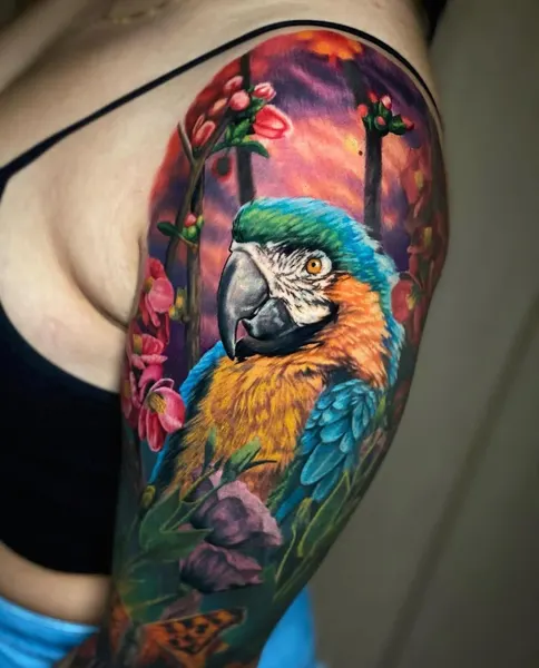 Animal, Nature